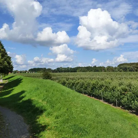 Fewo im Alten Land-3